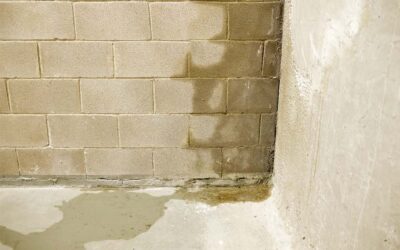 Don’t put off your Basement Waterproofing!